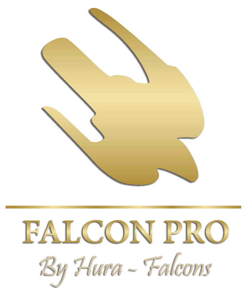 Logo falcon pro